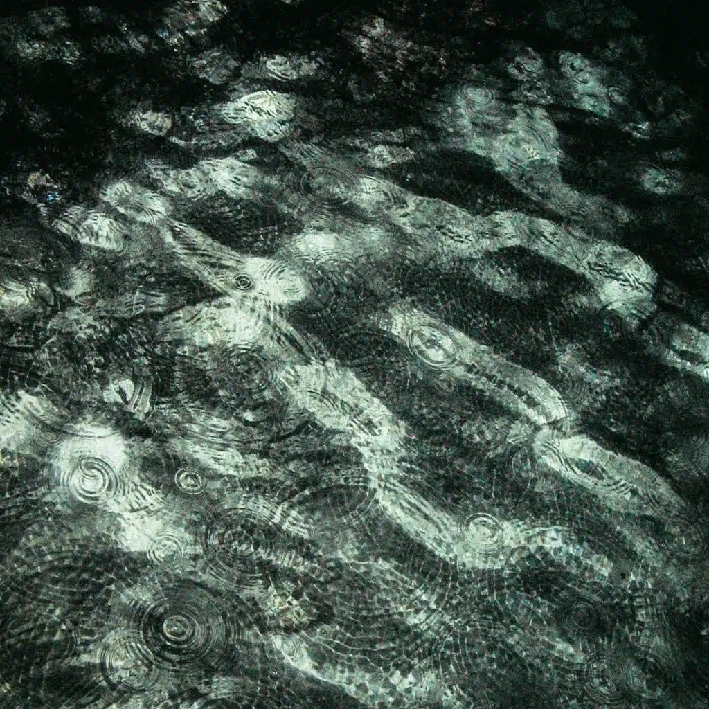 Night Dive