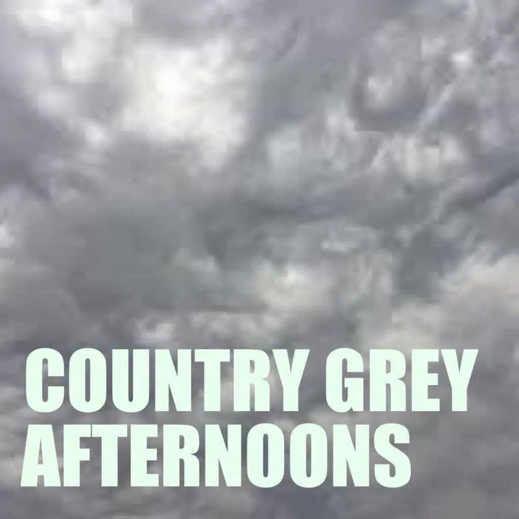 Please Don't Call In Any Help