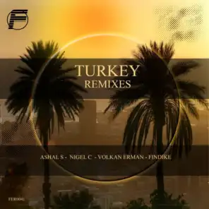 Turkey Remixes (Findike Dark Groove Remix)