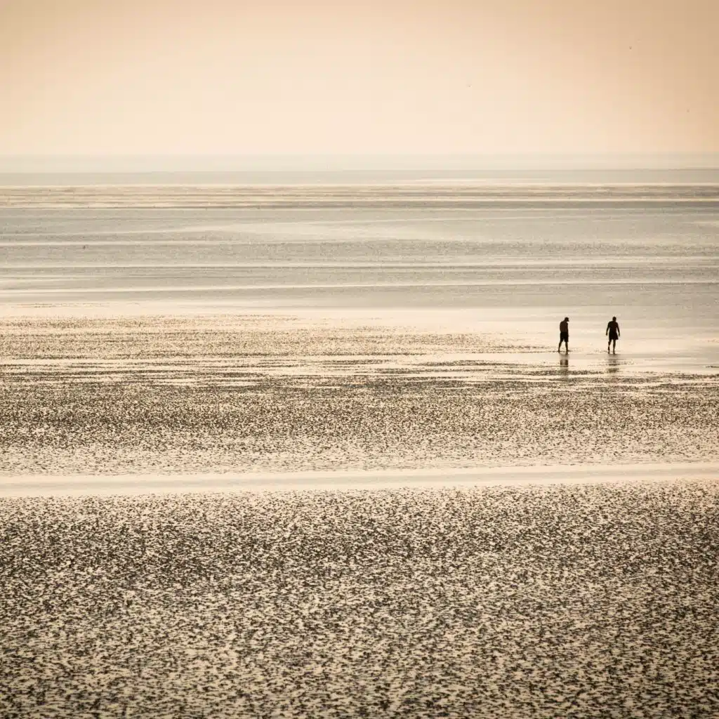 This Tide Will Bring You Home