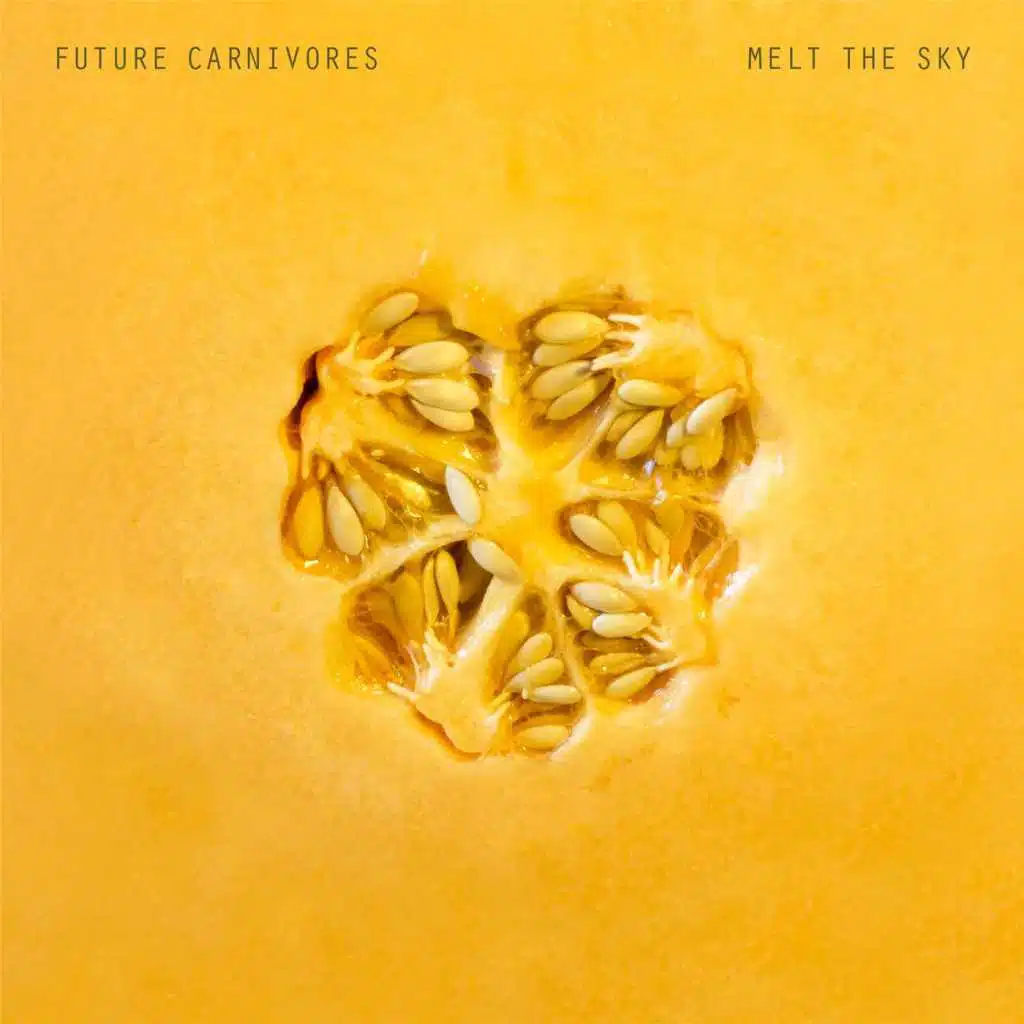 Melt the Sky