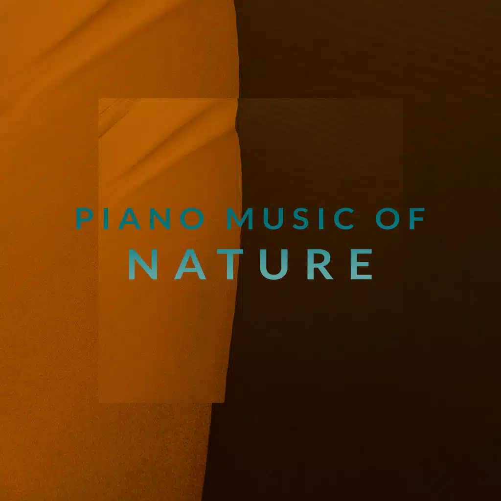 Piano Music of Nature – Relaxing Instrumental Music with Nature Background