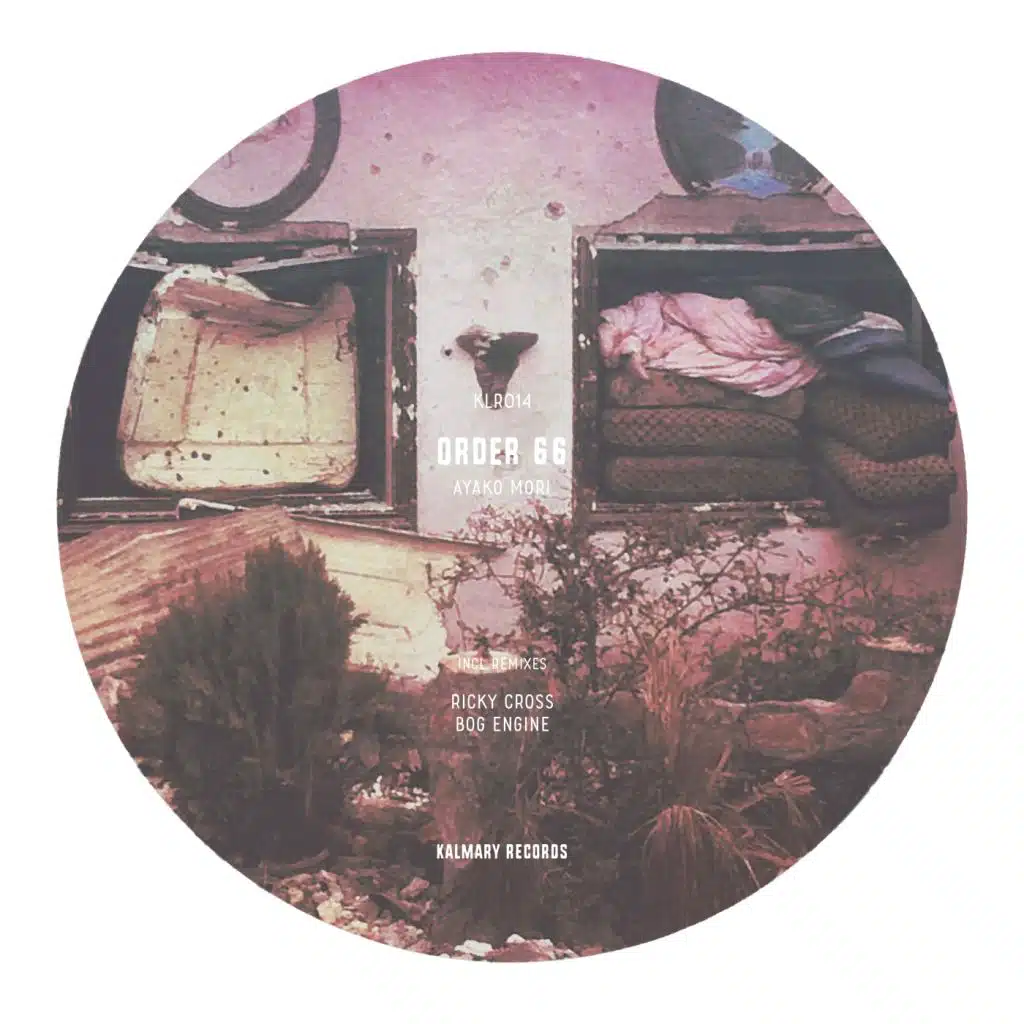 Order 66 (Ricky Cross Remix)