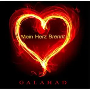Mein Herz Brennt (Piano, Violin & Vocal)