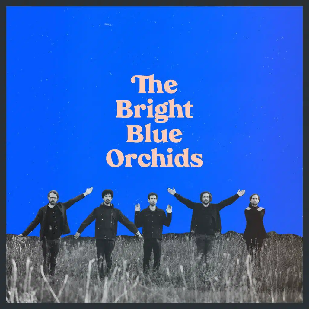 Mary Anne (Blue Orchids)
