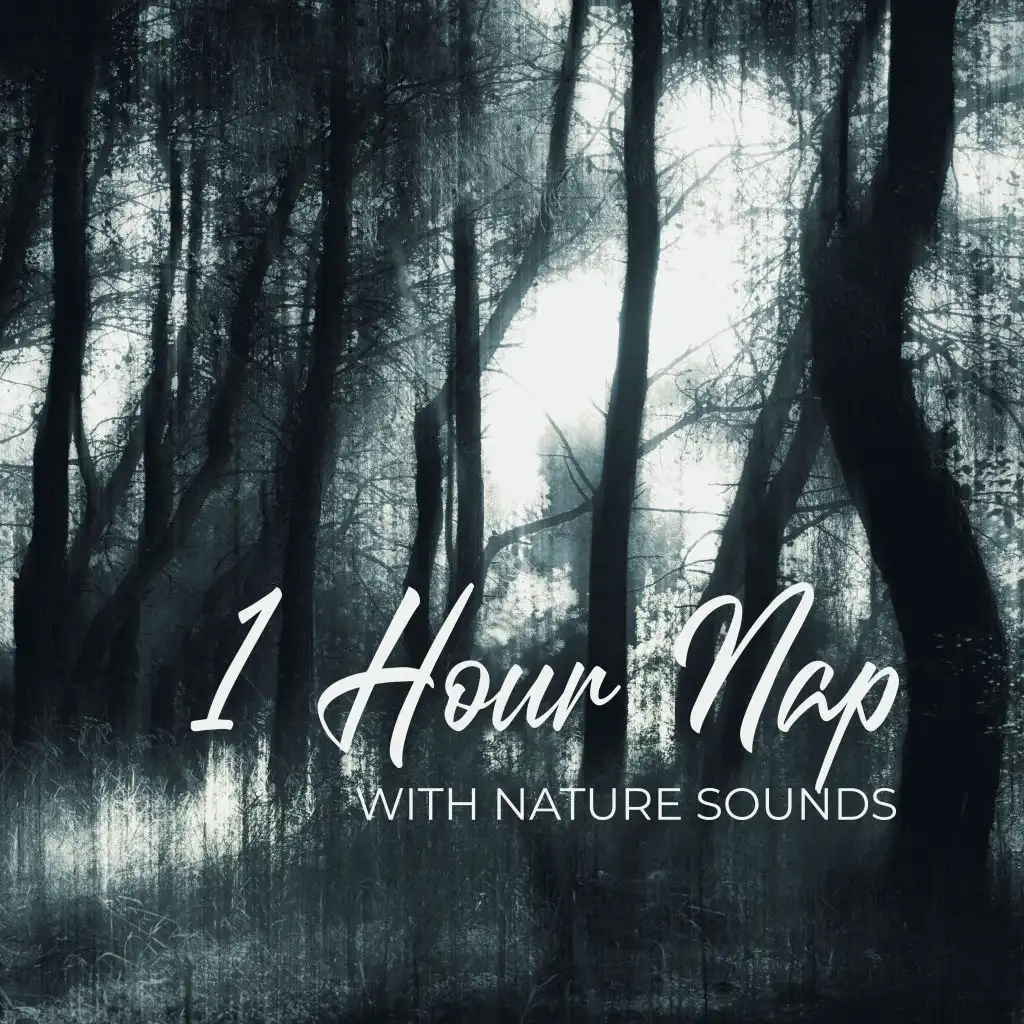 Sounds of Birds (Hypnosis)