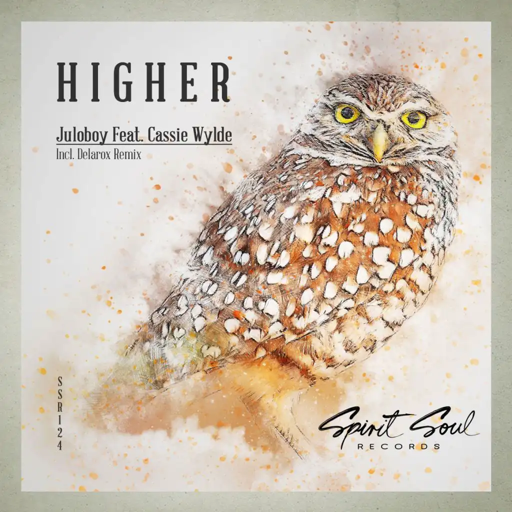 Higher (Delarox Radio Remix) [feat. Cassie Wylde]