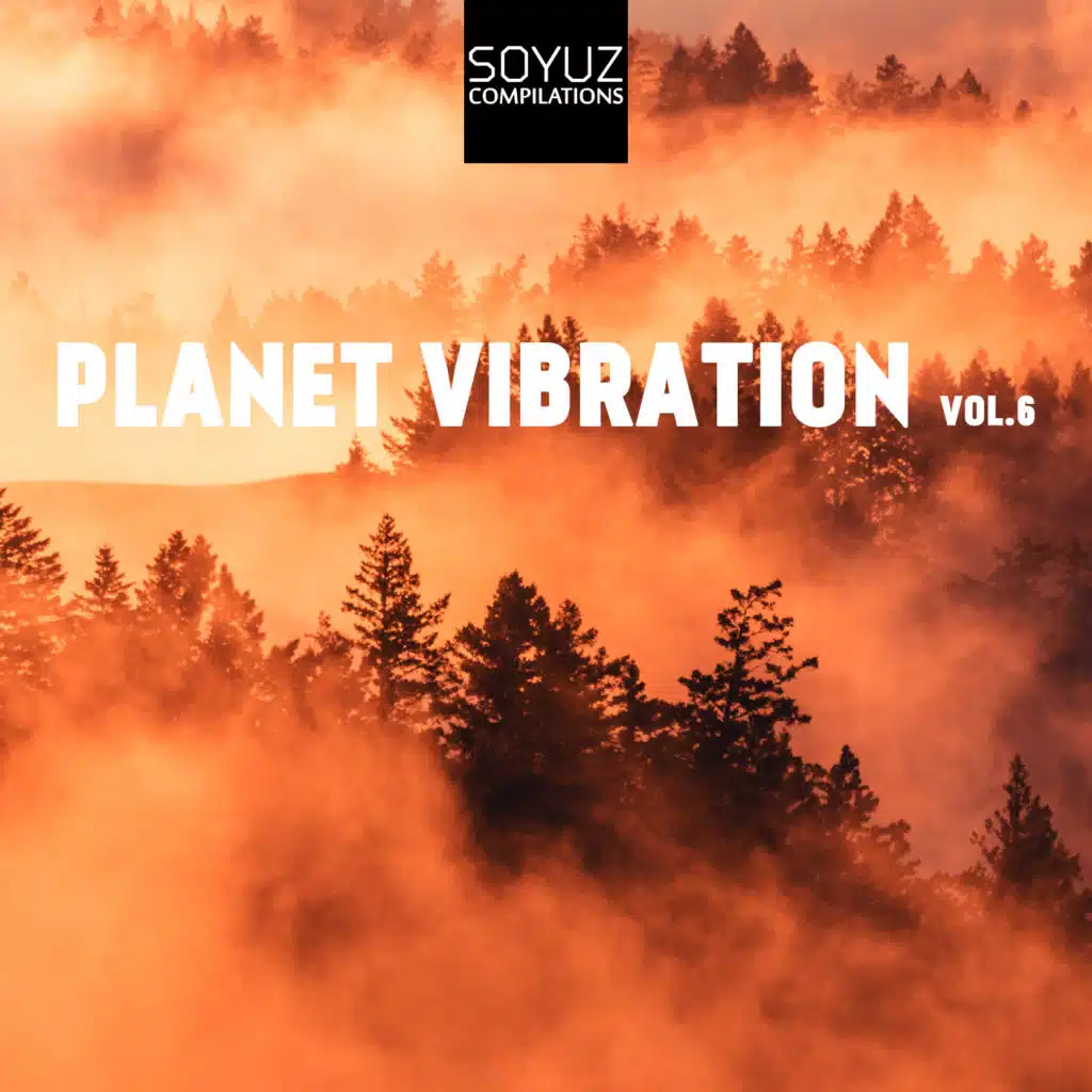 Planet Vibration, Vol. 6
