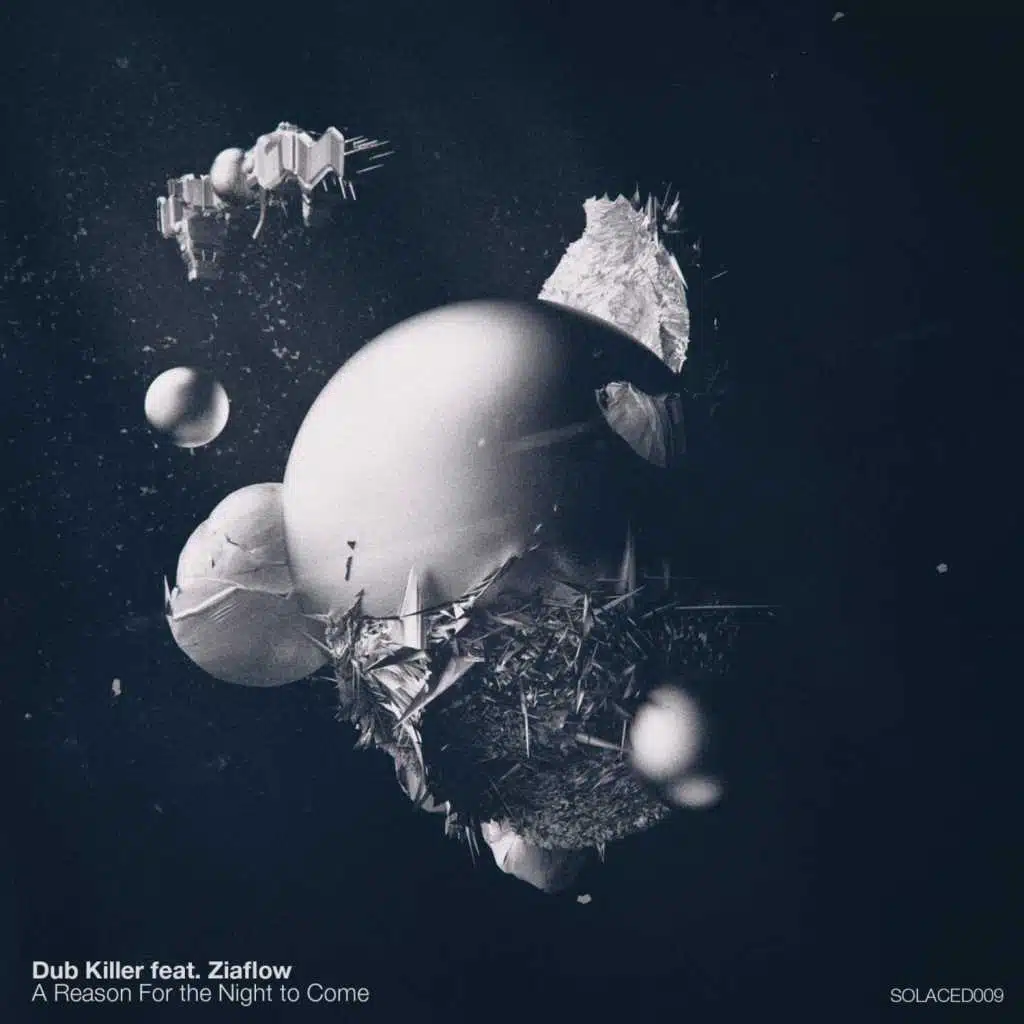 A Reason for the Night to Come (feat. Ziaflow)