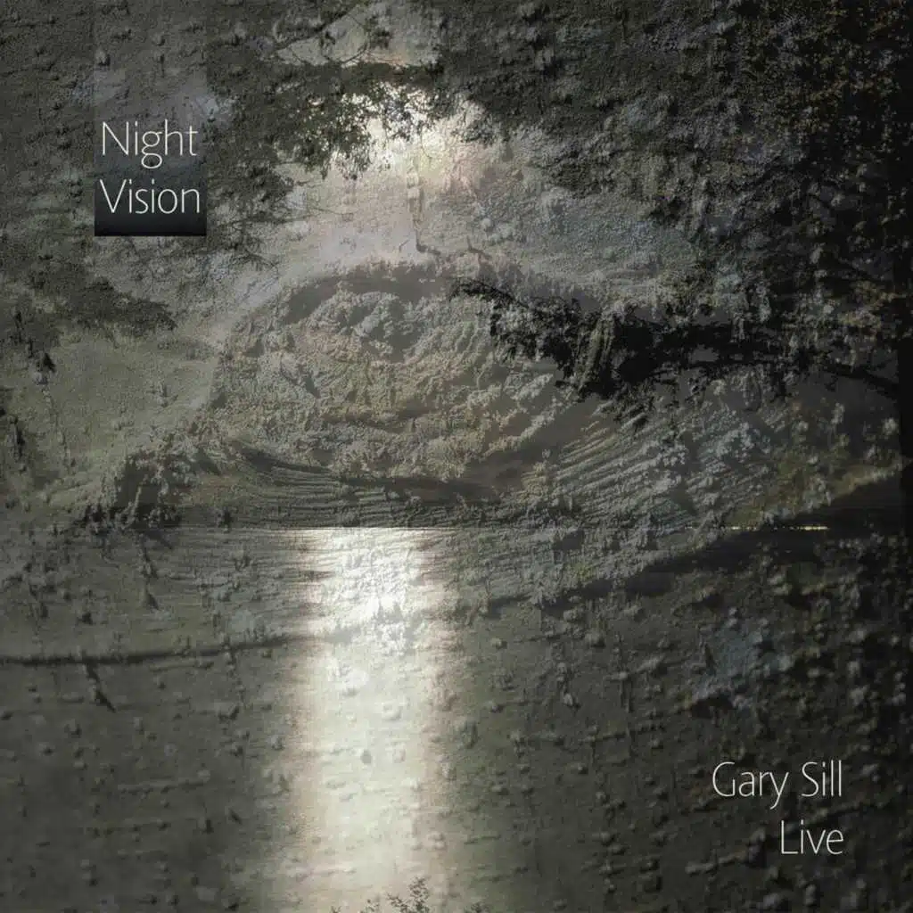 Night Vision | Gary Sill Live