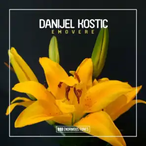 Danijel Kostic