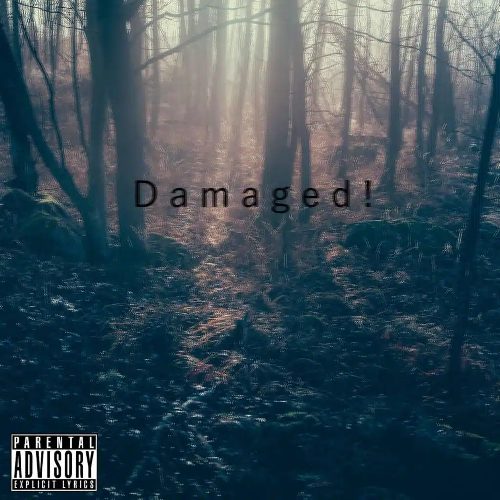 Damaged!