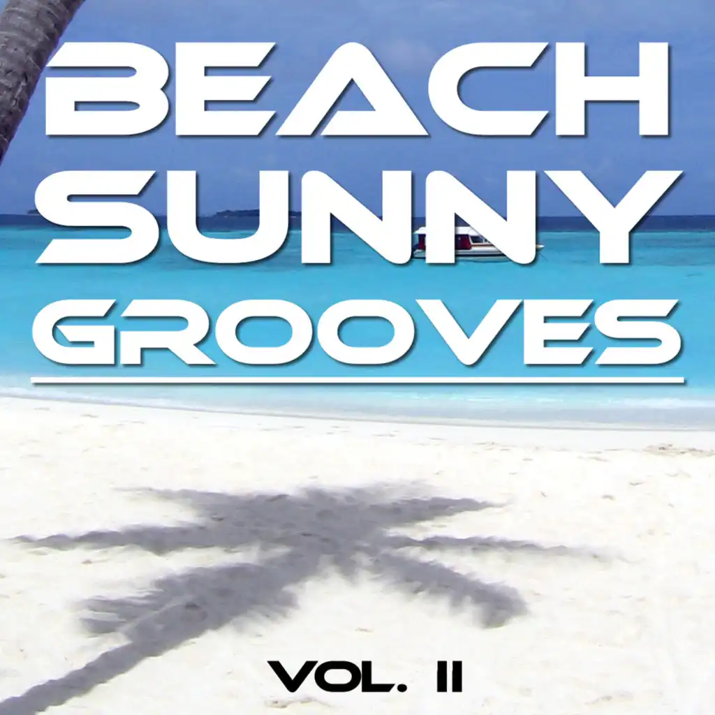 Beach Sunny Grooves (Vol. II)
