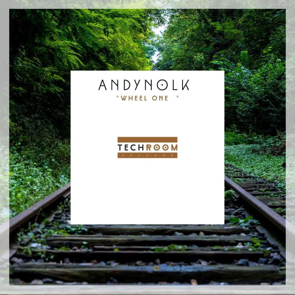 Andynolk