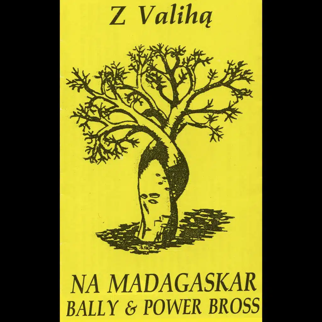 Z Valiha na Madagaskar