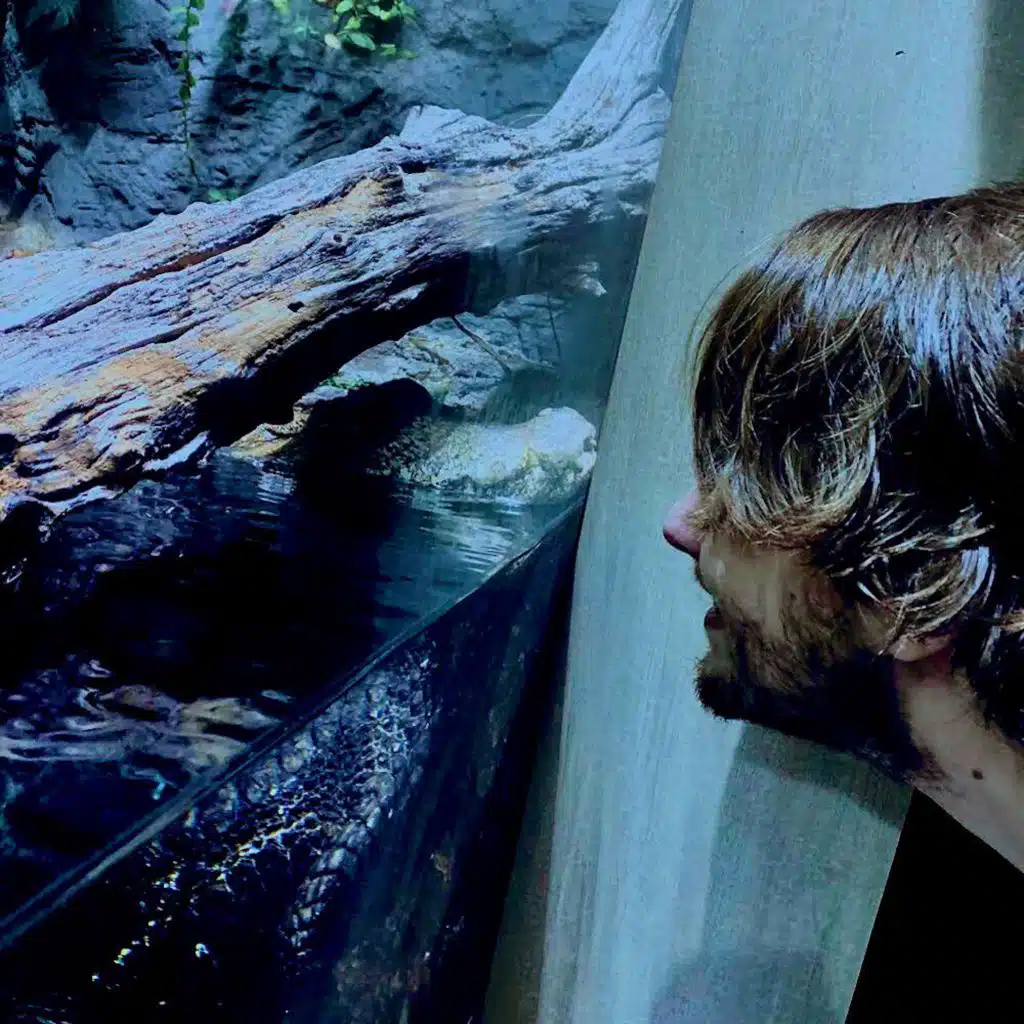 Antihero (Deluxe Remaster)