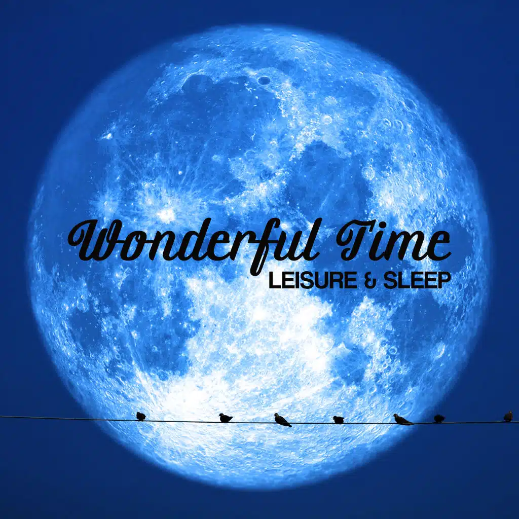Wonderful Time Leisure & Sleep