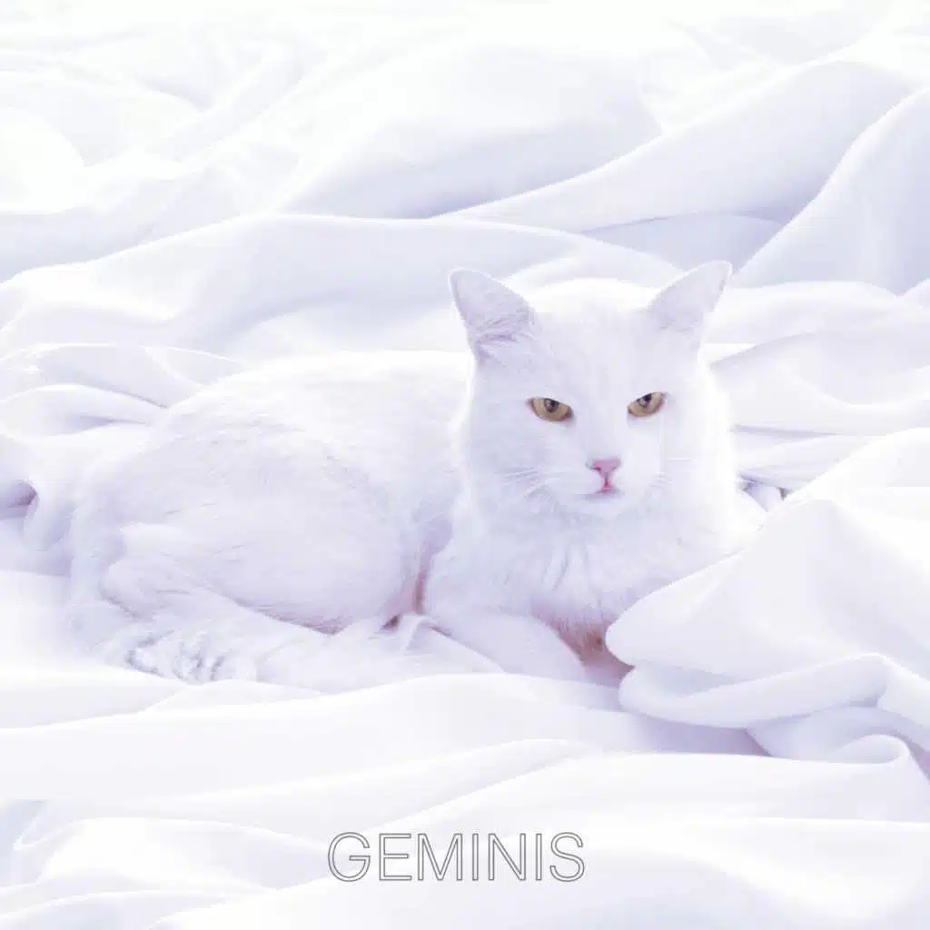 Geminis