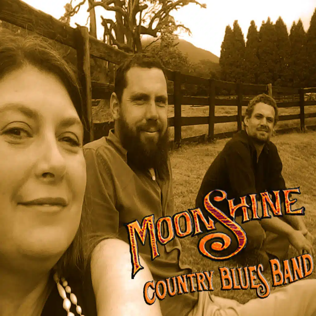 Moonshine Country Blues Band