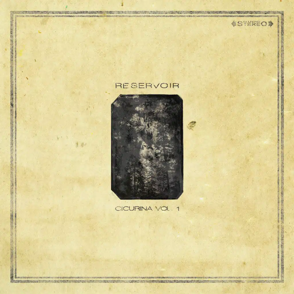 Cicurina, Vol. 1