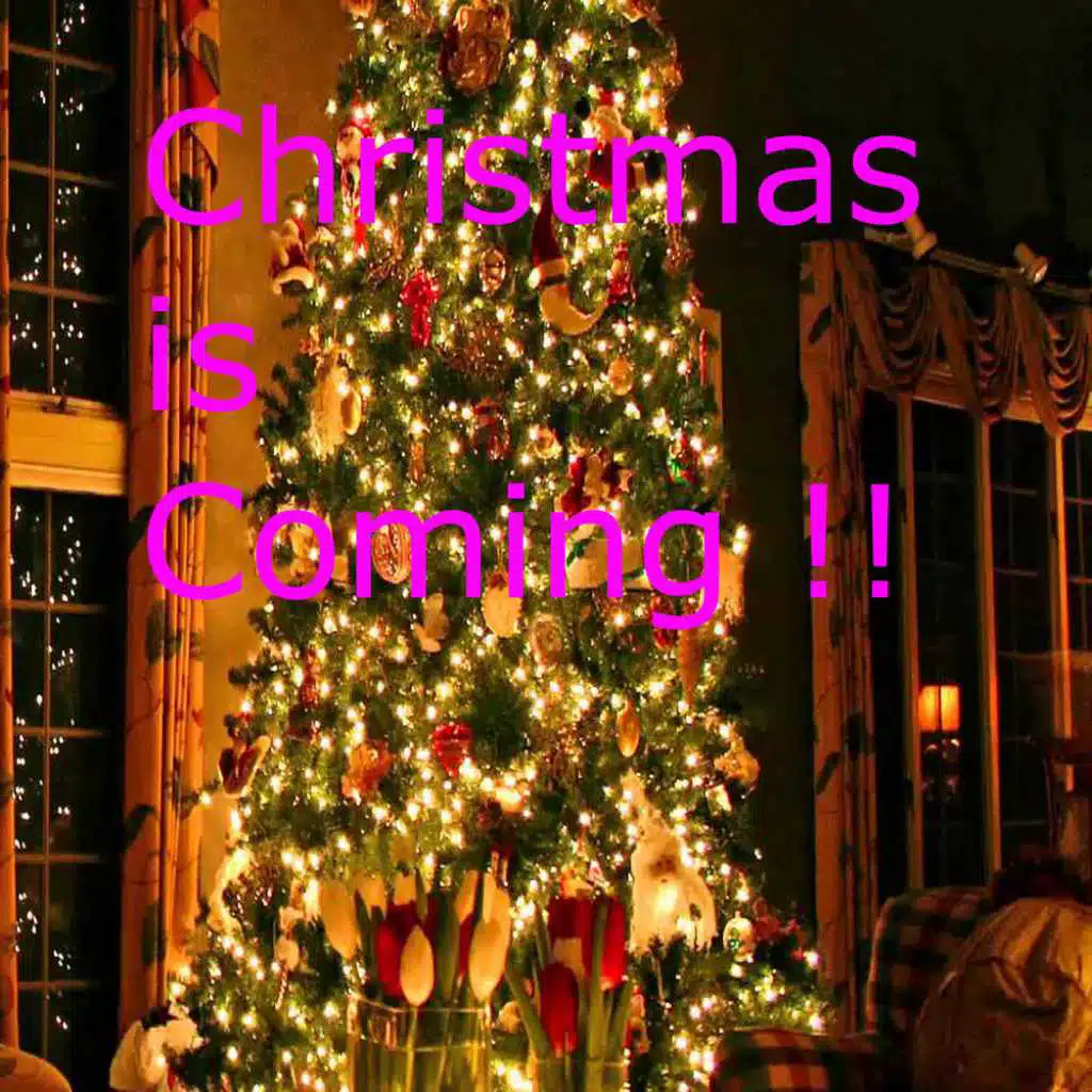 I Yust Go Nuts At Christmas