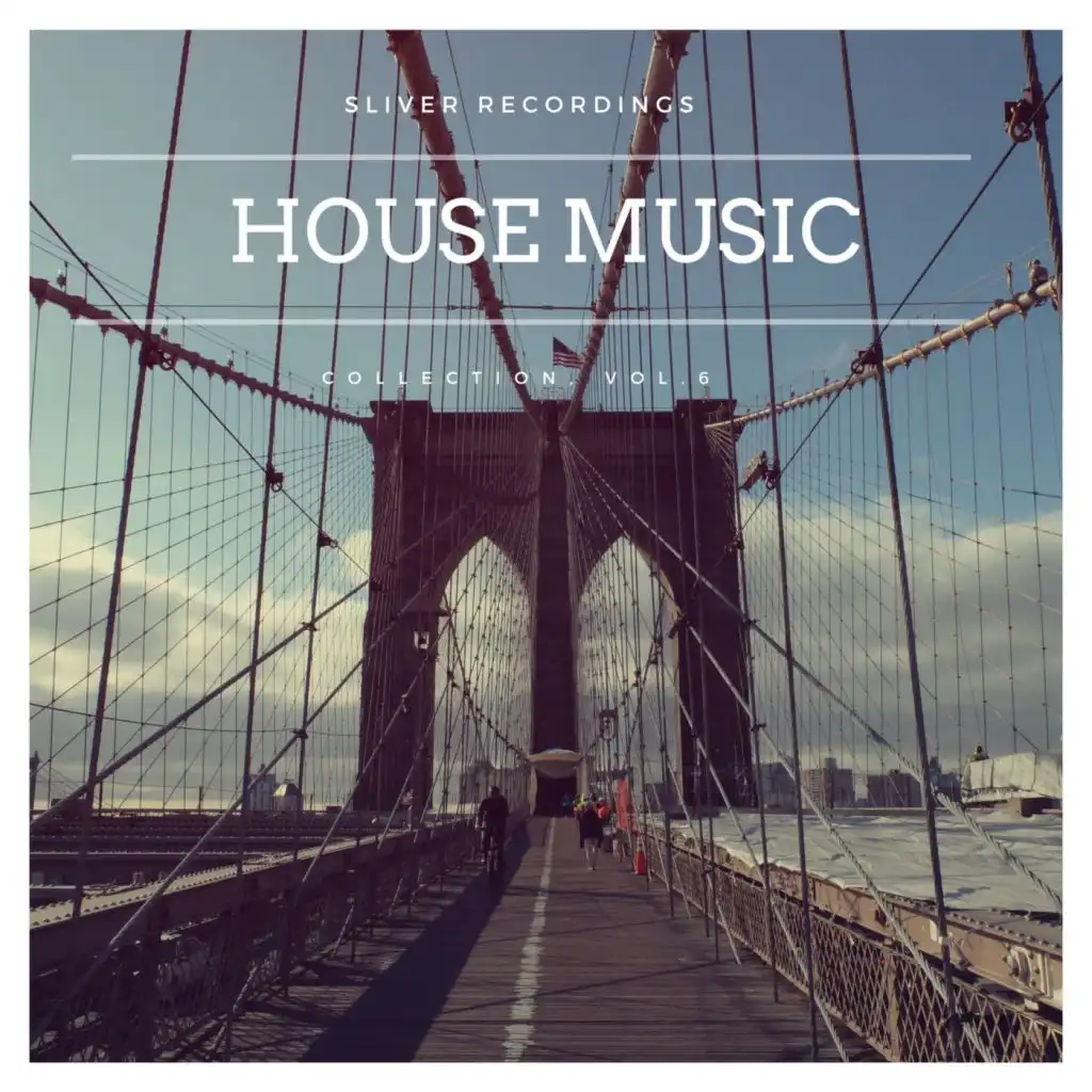 SLiVER Recordings - House Music Collection, Vol.6
