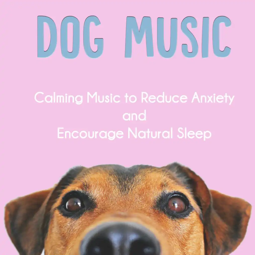 Dog Music: Calming Music to Reduce Anxiety and Encourage Natural Sleep
