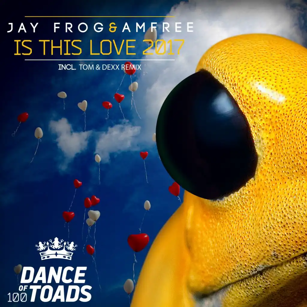 Jay Frog, Amfree