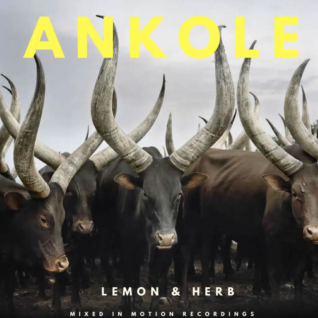 Ankole