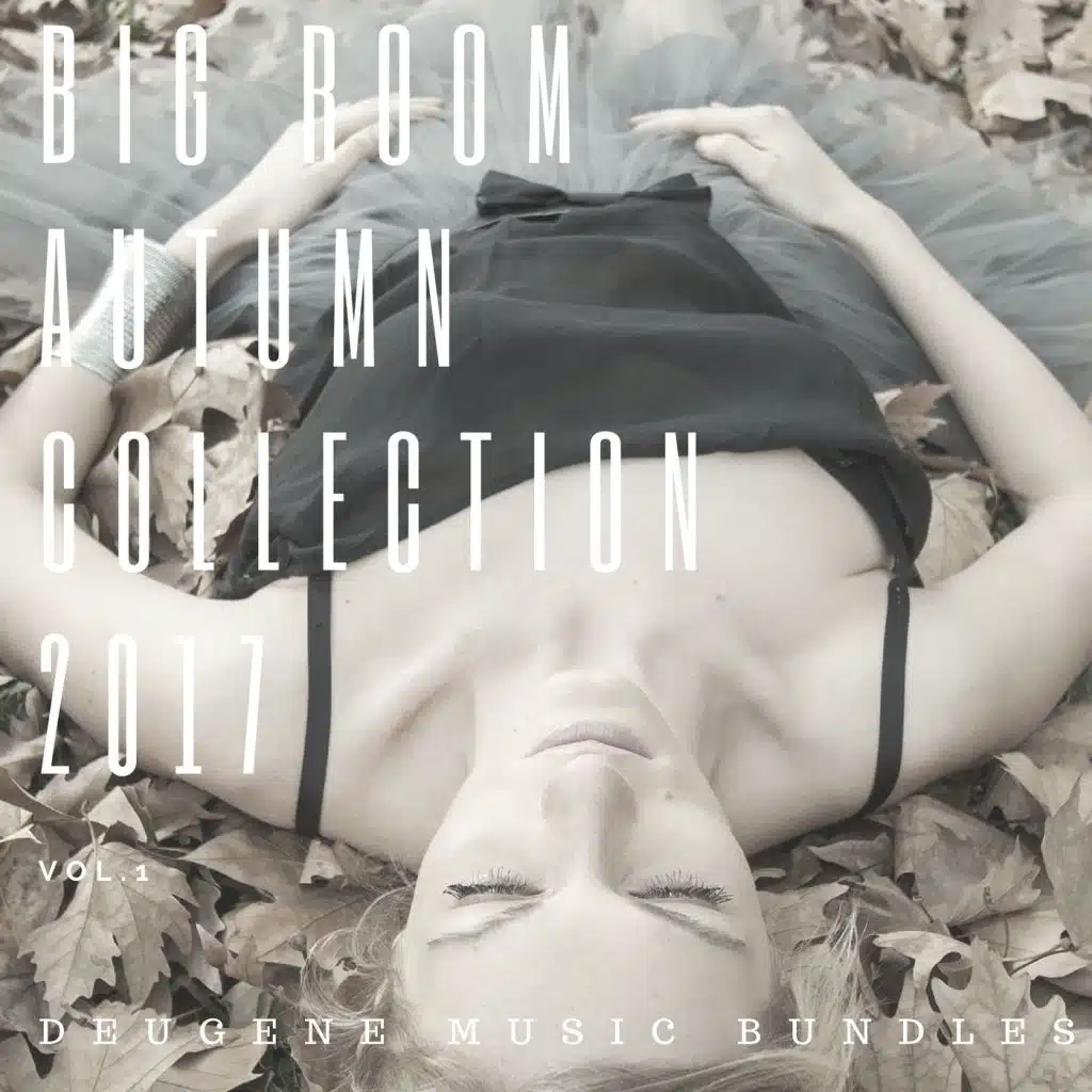 Big Room Аutumn Collection 2017, Vol. 1