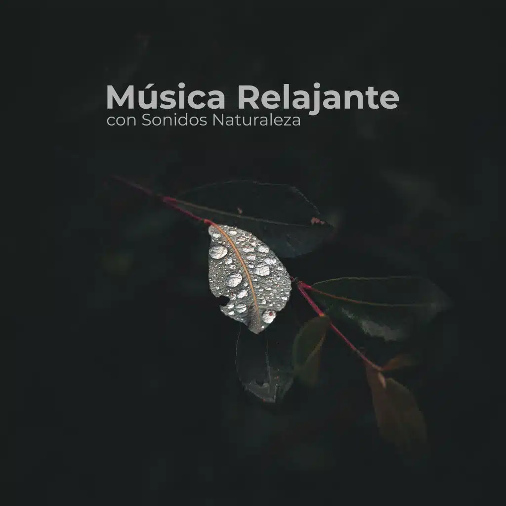 Música Relajante