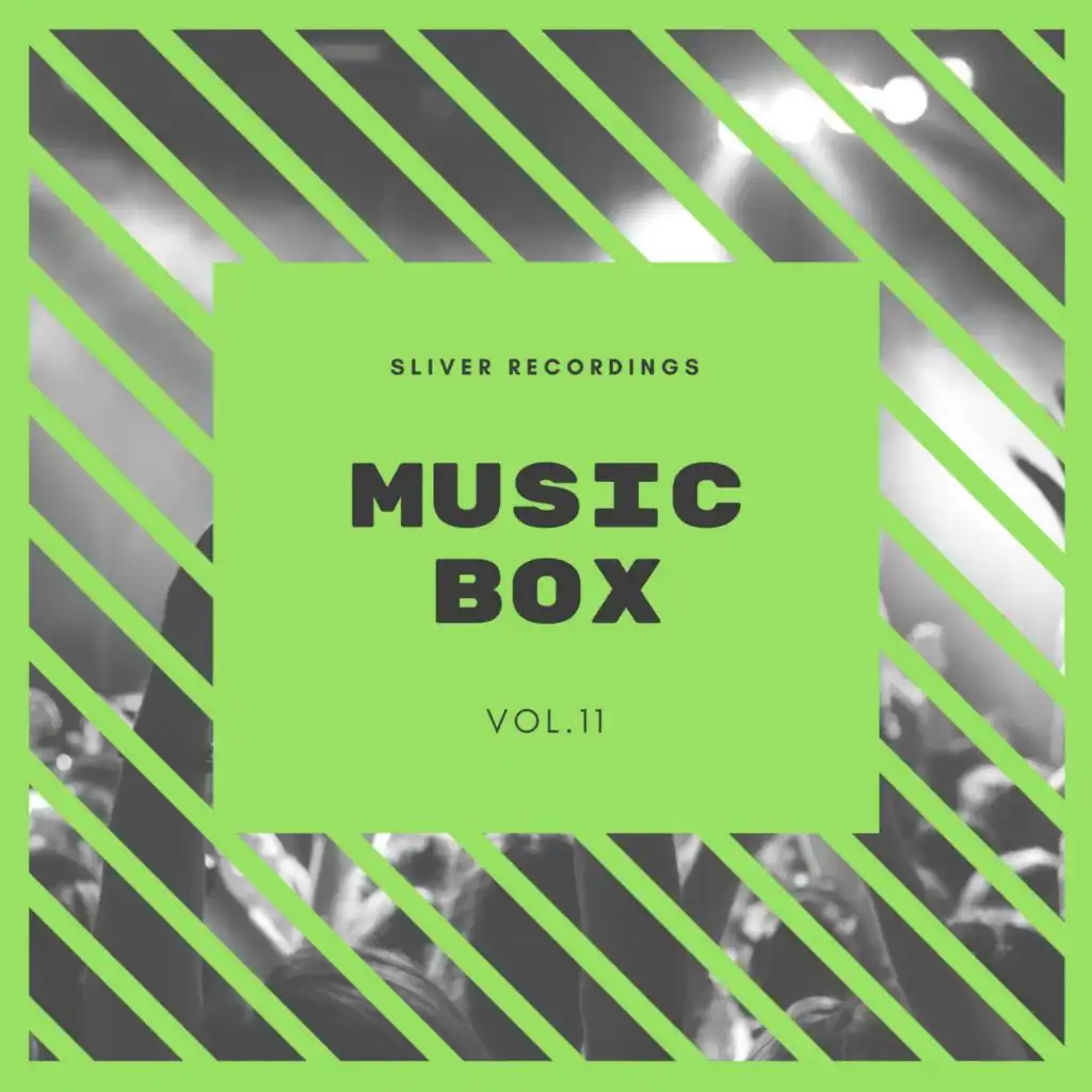 Sliver Recordings : Music Box, Vol.11