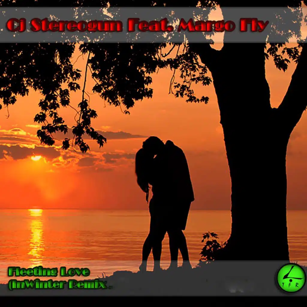 Fleeting Love (InWinter Remix) [feat. Margo Fly]
