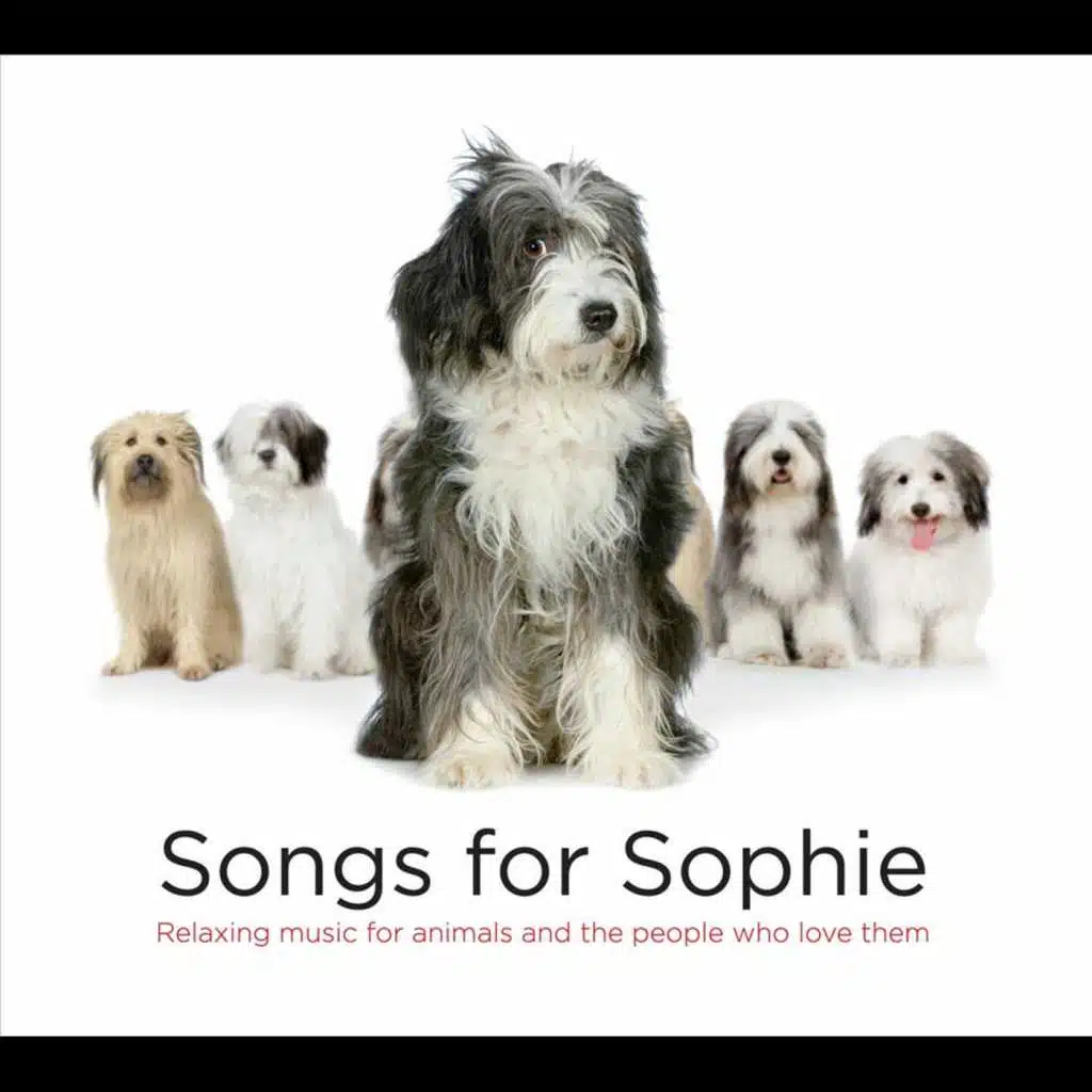 Songs for Sophie