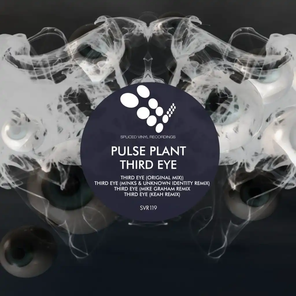 Third Eye (M!nks & Unknown Identity Remix)