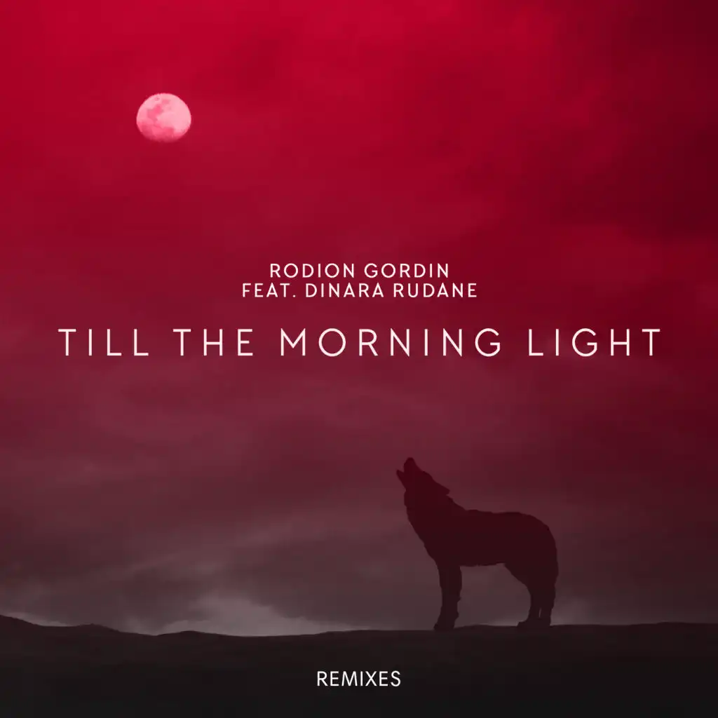 Till The Morning Light (Edgar Orn Remix) [feat. Dinara Rudane]