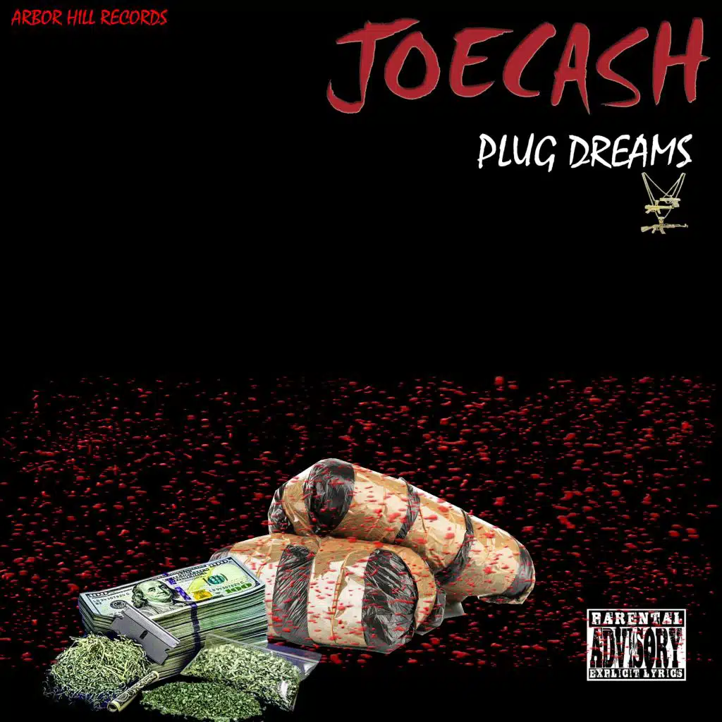 Plug Dreams