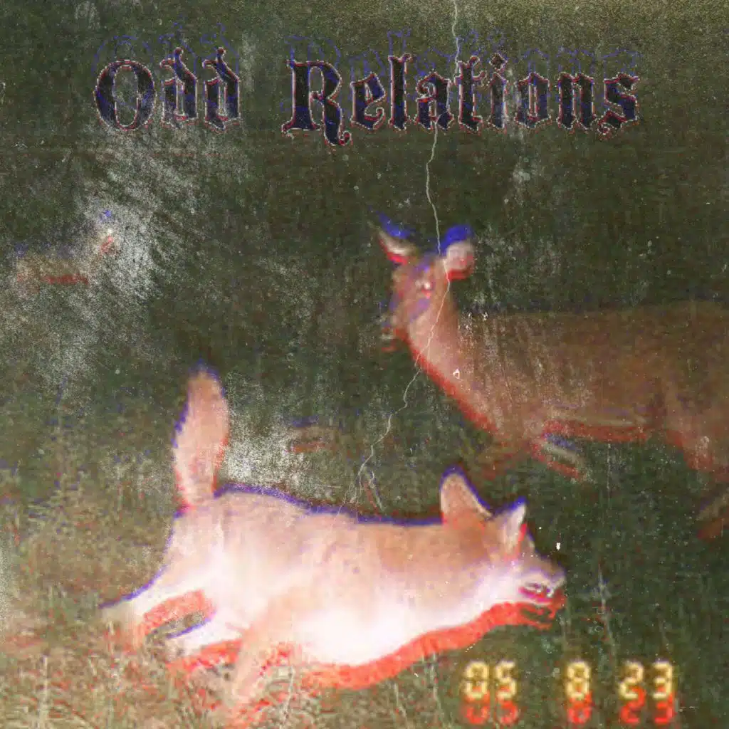 Odd Relations