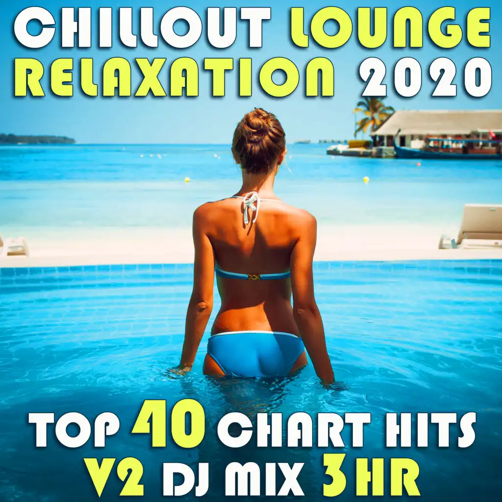 The Spider (Chill Out Lounge Relaxation 2020 DJ Mixed)