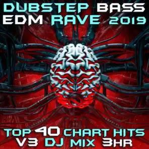 Level Up (Dubstep & Breakbeat EDM Rave 2020 DJ Mixed)