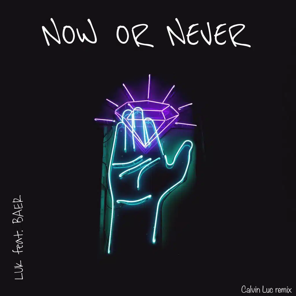 Now or Never (Calvin Luc Remix) [feat. BAER]