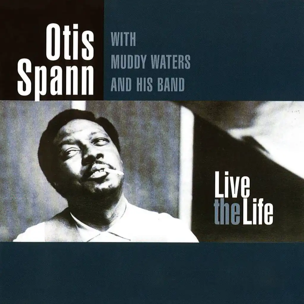 Worried Life Blues (Live) [feat. Muddy Waters]