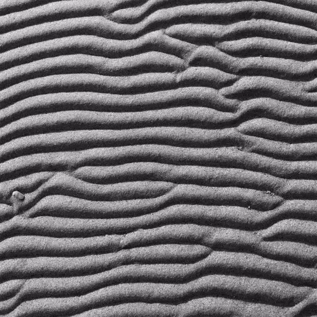 Paloist purtu kulmii - EP