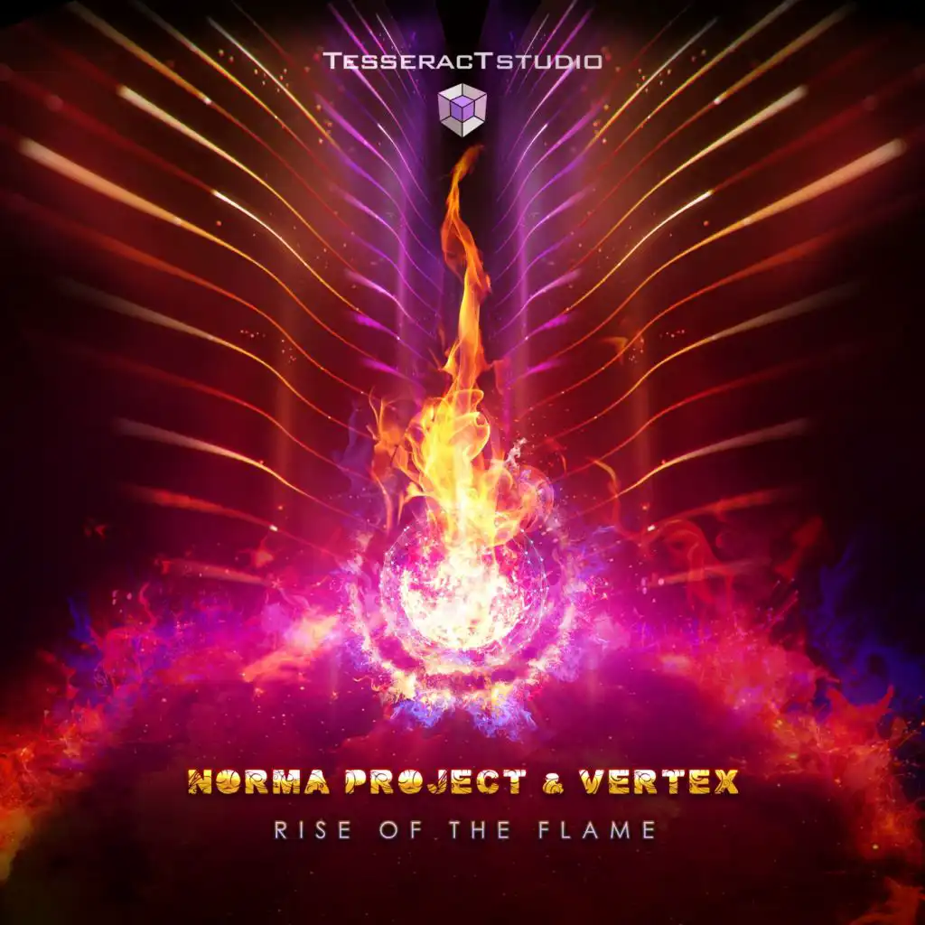 Norma Project & Vertex