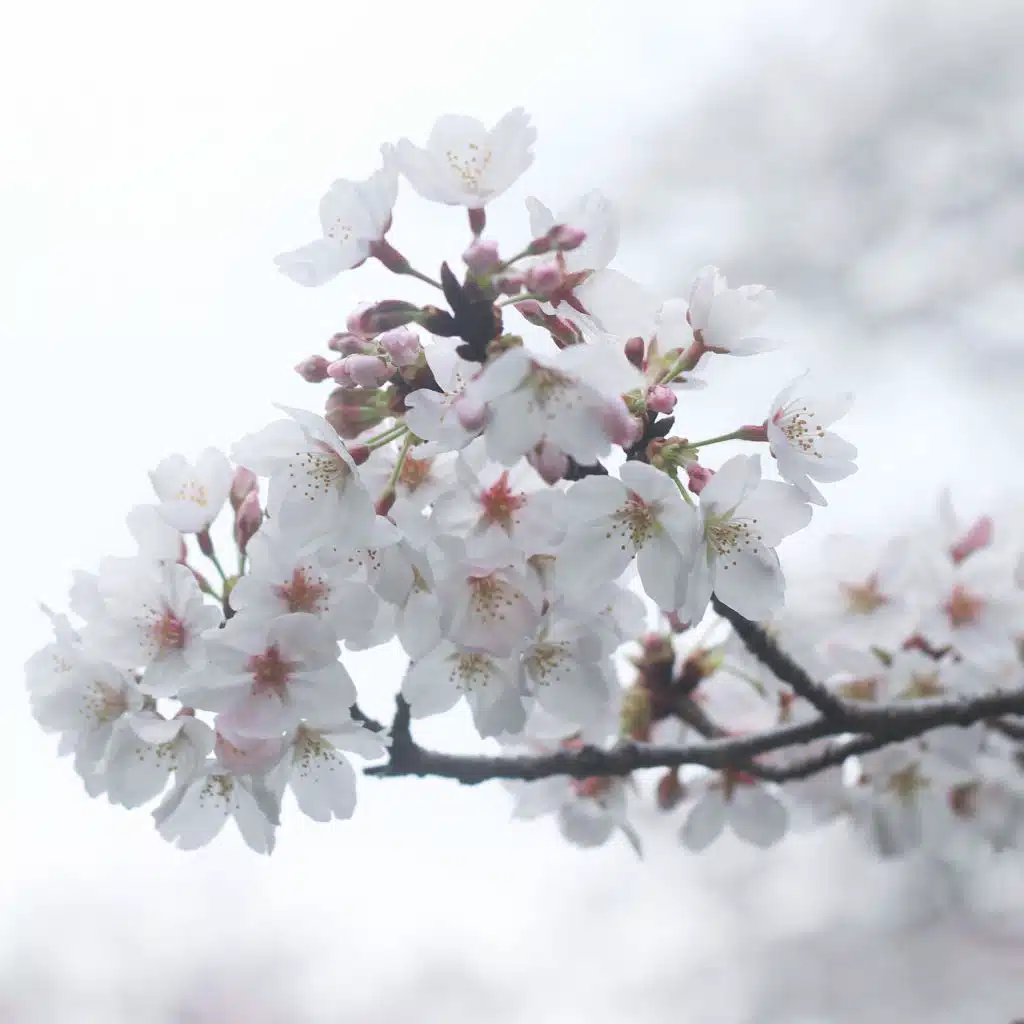 Hold Me While You Wait (Switching Vocals)