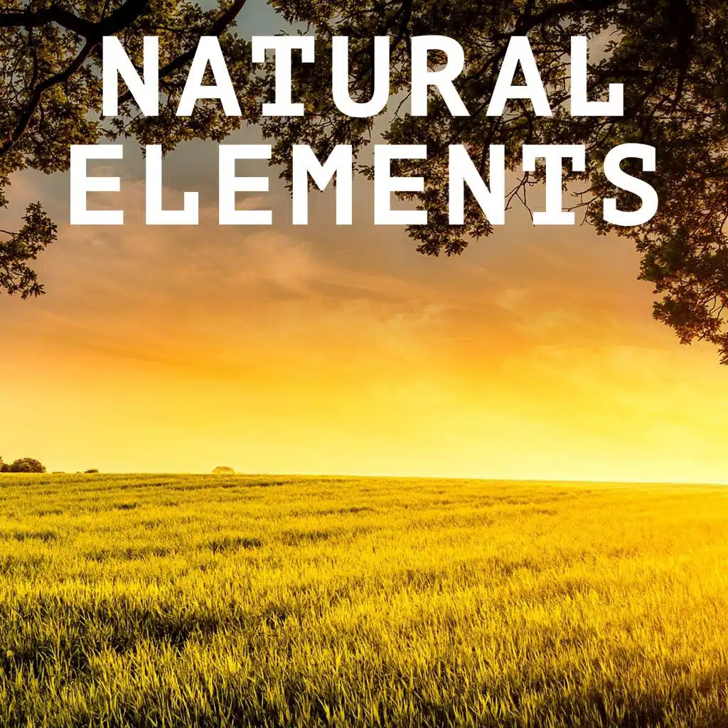 Natural Elements