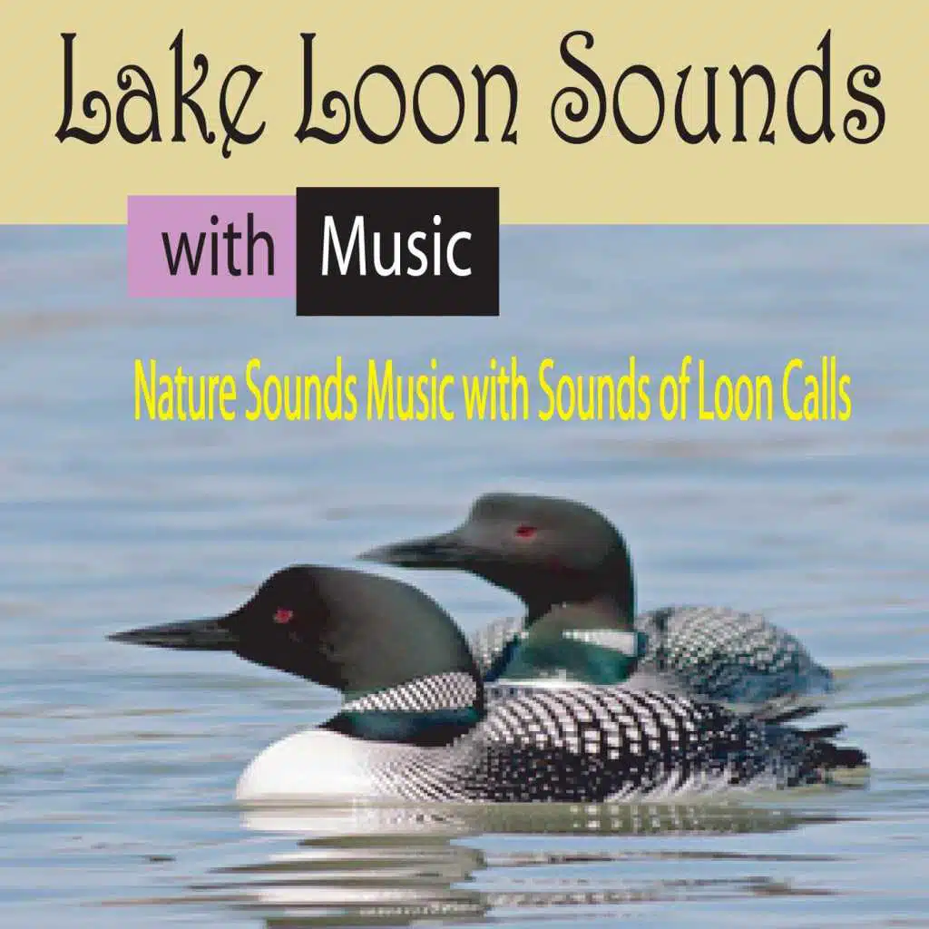 Lake Loon Sounds with Music: Nature Sounds Music with Sounds of Loon Calls