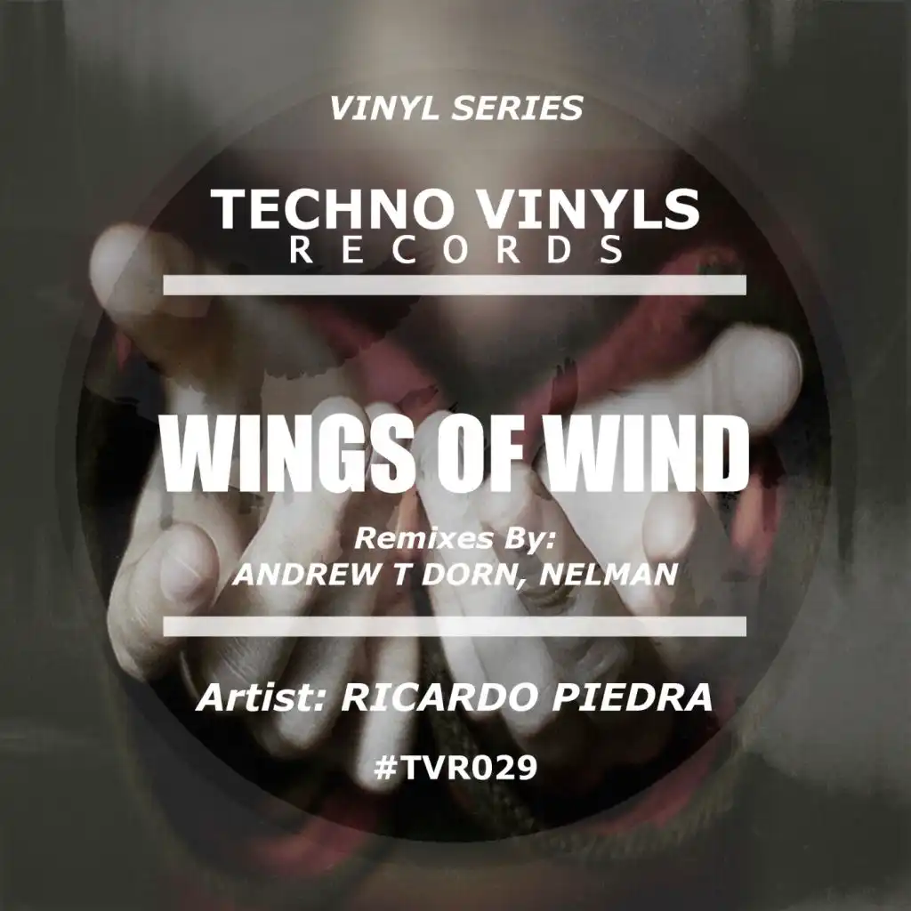 Wings Of Wind (Nelman Remix)