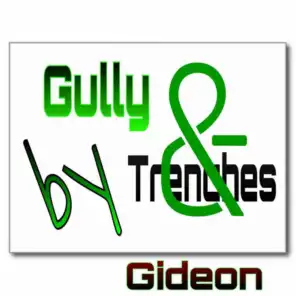 Gully & Trenches
