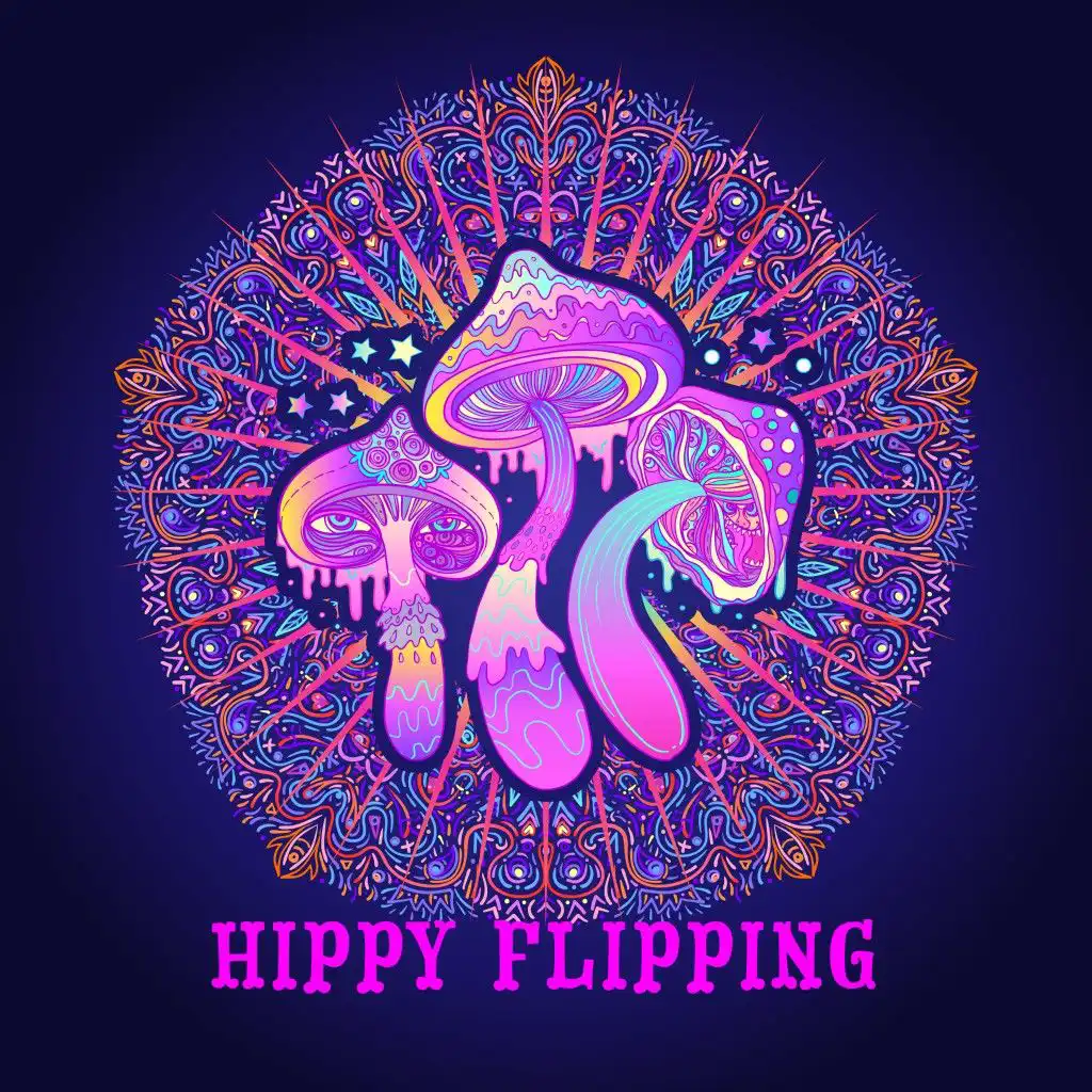 Hippy Flipping (Melodic House and Tech)